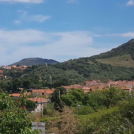 3Amb31 - Studio Pour 3 Personnes Avec Magnifique Vue Sur La Baie Collioure Bagian luar foto